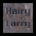 Hairy Larry Productions