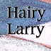Hairy Larry Productions