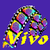 Vivo Player - Internet Video Pioneer
