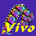Vivo Video and Audio on Delta Boogie